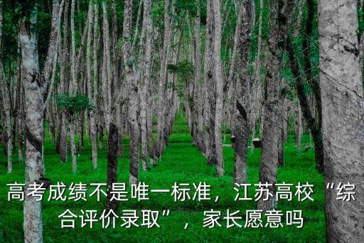 國科大在江蘇綜合評價錄到多少名,江蘇高校綜合評價錄取