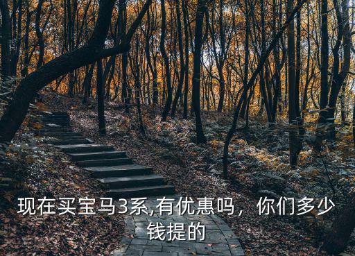 寶馬3系南通優惠多少錢,你們多少錢提的