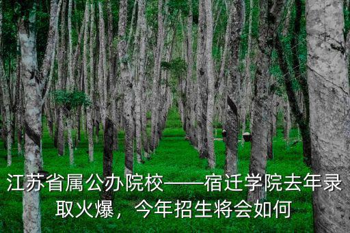 江蘇省屬公辦院校——宿遷學院去年錄取火爆，今年招生將會如何