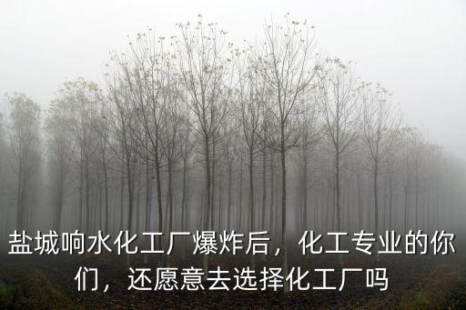 江蘇鹽城化工廠爆炸損失多少錢,江蘇鹽城化工廠爆炸