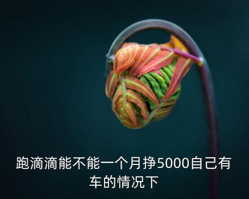 跑滴滴能不能一個月掙5000自己有車的情況下