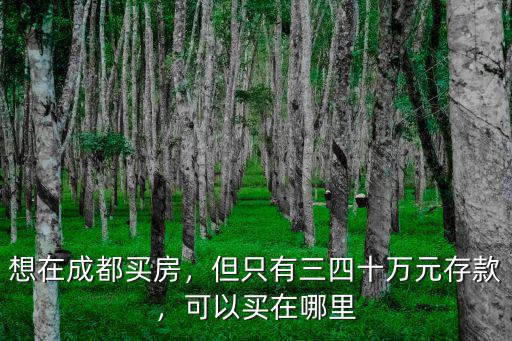 成都在哪里買院子,可以買在哪里