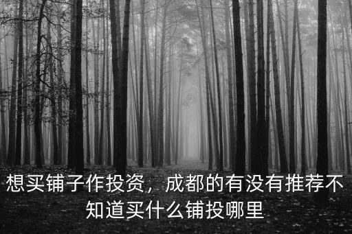 投資成都買哪里,如果投資加改善買哪里好