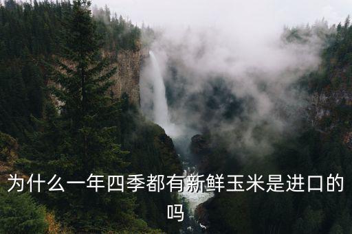 瀘州哪里有新鮮玉米批發,這個季節哪里產新鮮玉米