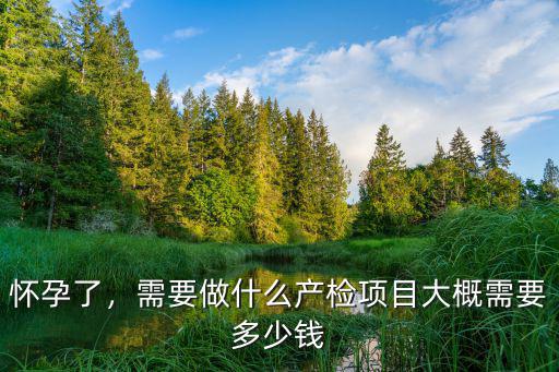 南京懷孕檢查要多少錢一次,孕前檢查大概需要多少錢