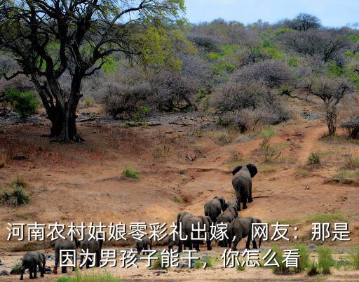 河南農村姑娘零彩禮出嫁，網友：那是因為男孩子能干，你怎么看
