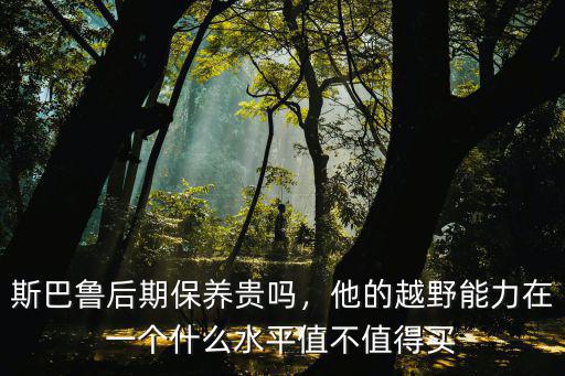 南陽哪里保養斯巴魯,斯巴魯后期保養貴嗎