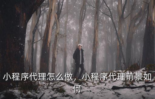 鹽城小程序代理多少錢,小程序代理怎么做
