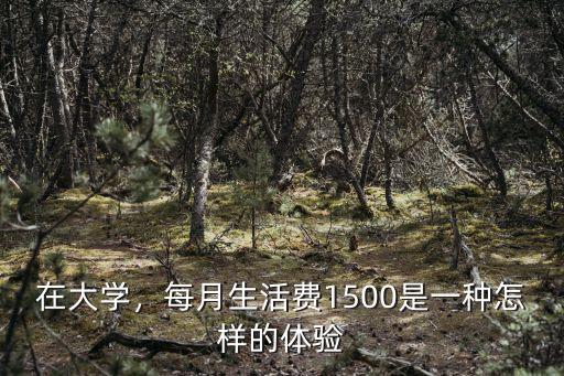 在大學，每月生活費1500是一種怎樣的體驗
