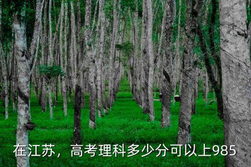 在江蘇，高考理科多少分可以上985