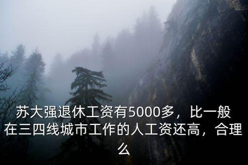 蘇大強(qiáng)退休工資有5000多，比一般在三四線城市工作的人工資還高，合理么
