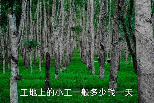 工地上的小工一般多少錢一天
