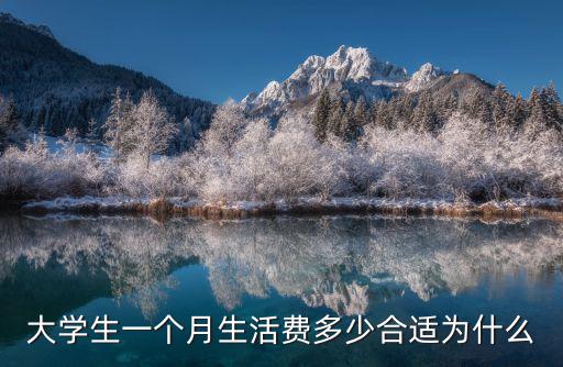 大學生一個月生活費多少合適為什么