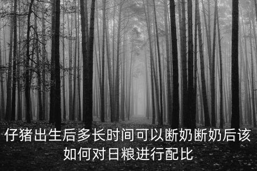 成都哪里有斷奶仔豬出售,仔豬斷奶階段有哪些問題