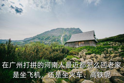 河南人怎么回去,我是一個河南人