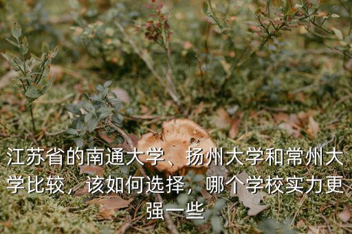 江蘇省排名多少能上南通大學,江蘇省的南通大學