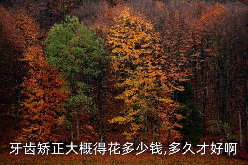 牙齒矯正大概得花多少錢,多久才好啊
