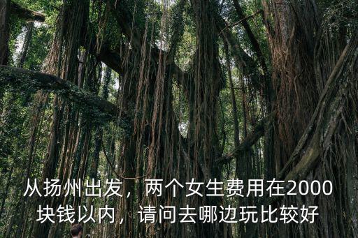 去揚州兩個人多少錢,兩個人從廣州去蘇州和揚州玩