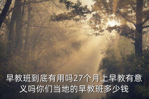 南京早教班一年多少錢,你們當地的早教班多少錢