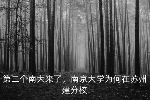 南京大學蘇州校區多少分,南京大學為何在蘇州建分校