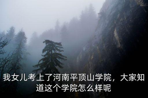平頂山學院-白樓餐廳怎么樣,我女兒被平頂山學院錄取