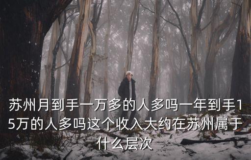 蘇州月到手一萬多的人多嗎一年到手15萬的人多嗎這個收入大約在蘇州屬于什么層次
