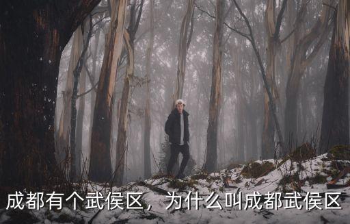 武侯區京東在成都哪里建設,成都有個武侯區