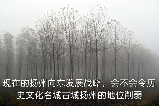 中國揚州的美食歷史文化有多少年,揚州歷史文化悠久