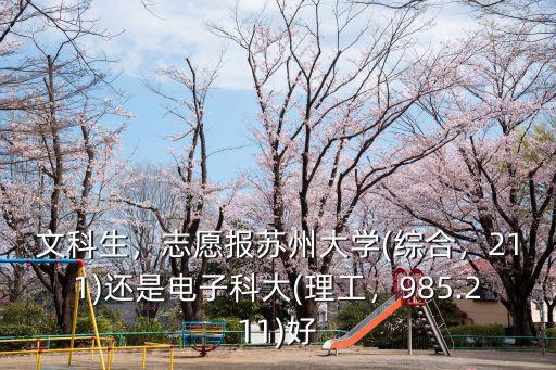 文科生，志愿報蘇州大學(綜合，211)還是電子科大(理工，985.211)好