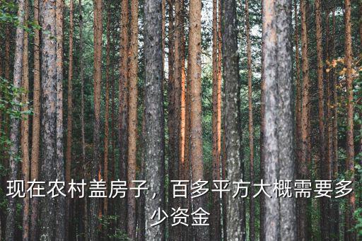 淮安農村蓋房子要多少錢,百多平方大概需要多少資金