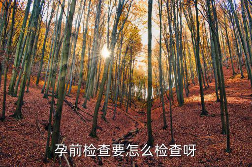 孕前檢查要怎么檢查呀