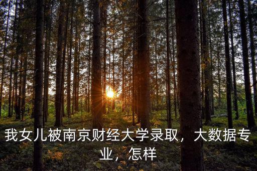南京財(cái)經(jīng)大學(xué)有多少專業(yè),南京財(cái)經(jīng)大學(xué)法學(xué)專業(yè)怎么樣