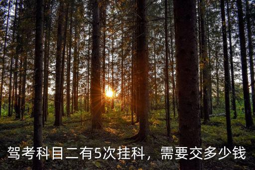 蘇州科目二補考費要多少,補考費每次交了多少錢