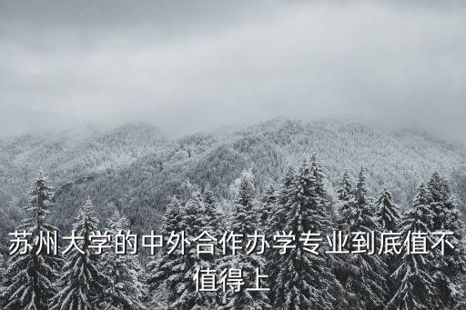 蘇州大學的中外合作辦學專業到底值不值得上