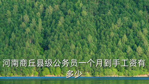 河南商丘縣級公務員一個月到手工資有多少
