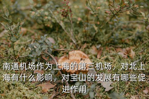 南通機場作為上海的第三機場，對北上海有什么影響，對寶山的發(fā)展有哪些促進作用