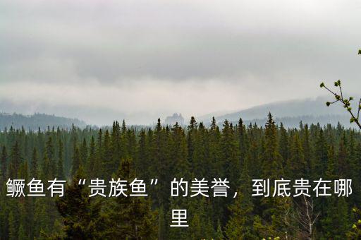 樂山哪里有鱖魚,鱖魚有貴族魚的美譽(yù)