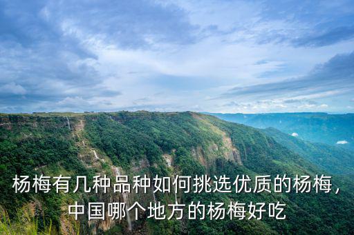 樂山哪里的楊梅最好,中國哪個地方的楊梅好吃