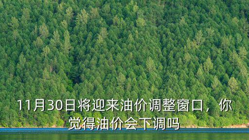 11月30日將迎來油價調整窗口，你覺得油價會下調嗎