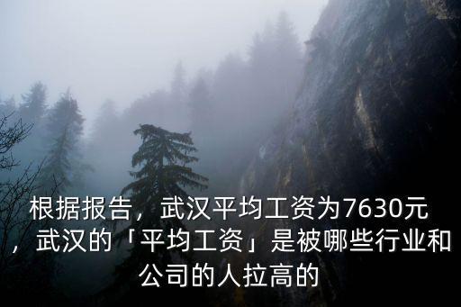 根據報告，武漢平均工資為7630元，武漢的「平均工資」是被哪些行業和公司的人拉高的