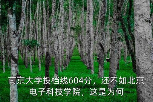 南京大學(xué)管理學(xué)院多少分,南京大學(xué)投檔線604分
