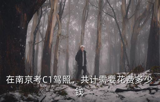 在南京拿駕照多少錢一個月,在南京考C1駕照