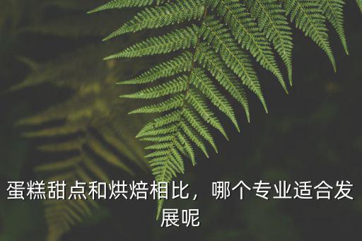 瀘州甜點(diǎn)烘焙哪里專業(yè),蛋糕甜點(diǎn)和烘焙相比