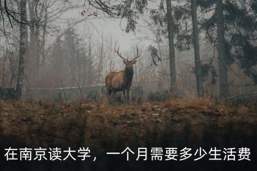 在江蘇讀大學一年費用多少,在南京上大學一年要花多少錢