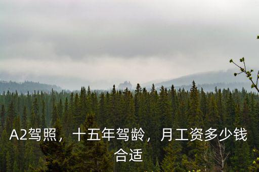 鹽城a2駕照工資多少,月工資多少錢合適