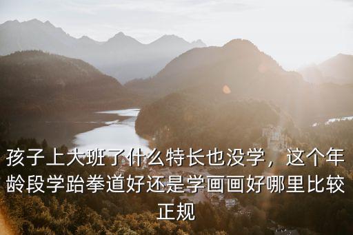 孩子上大班了什么特長也沒學，這個年齡段學跆拳道好還是學畫畫好哪里比較正規(guī)