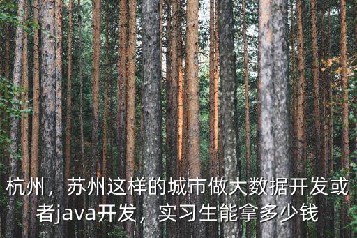 杭州，蘇州這樣的城市做大數(shù)據(jù)開發(fā)或者java開發(fā)，實(shí)習(xí)生能拿多少錢