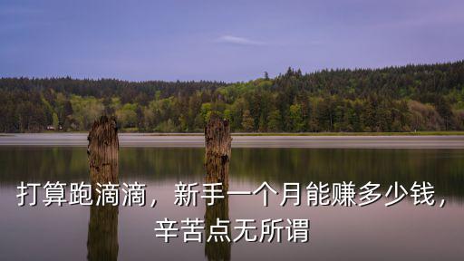 蘇州神州一個月能跑多少錢,新手一個月能賺多少錢