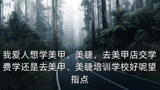 我愛人想學(xué)美甲、美睫，去美甲店交學(xué)費學(xué)還是去美甲、美睫培訓(xùn)學(xué)校好呢望指點