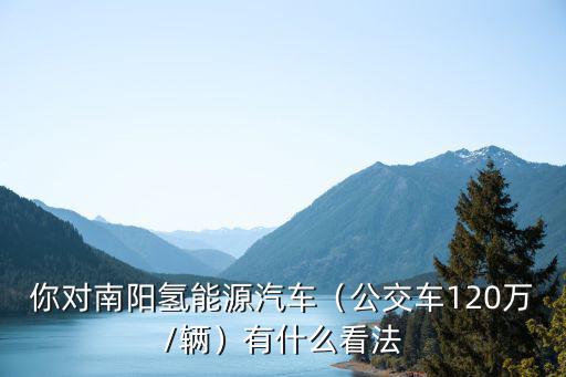 你對南陽氫能源汽車（公交車120萬/輛）有什么看法